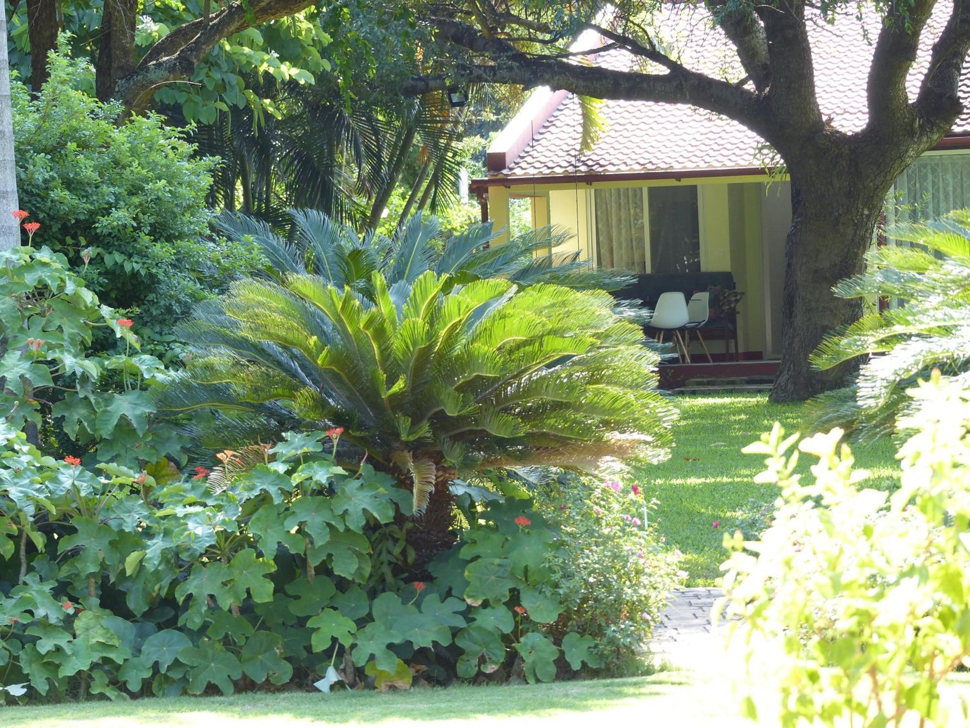 Ancha'S Oasis Hotel Maputo Bagian luar foto