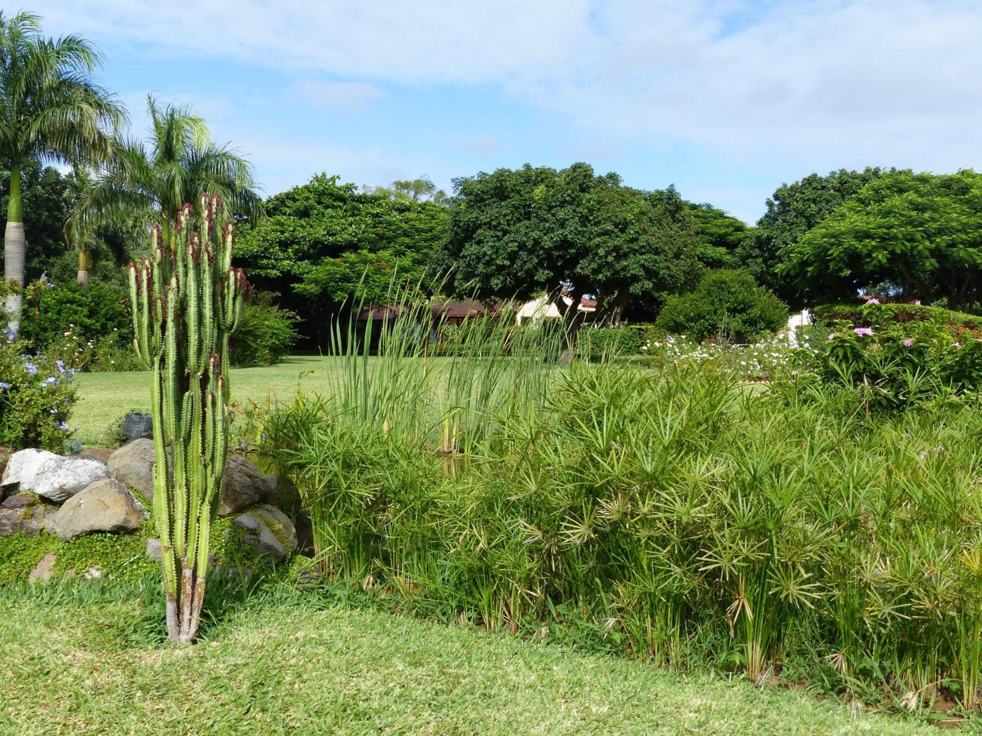 Ancha'S Oasis Hotel Maputo Bagian luar foto